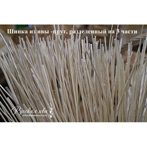 Лента ивовая ...