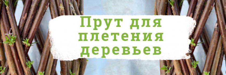 Для деревьев Для деревьев