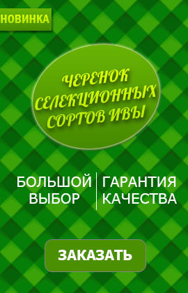 banner sidebar